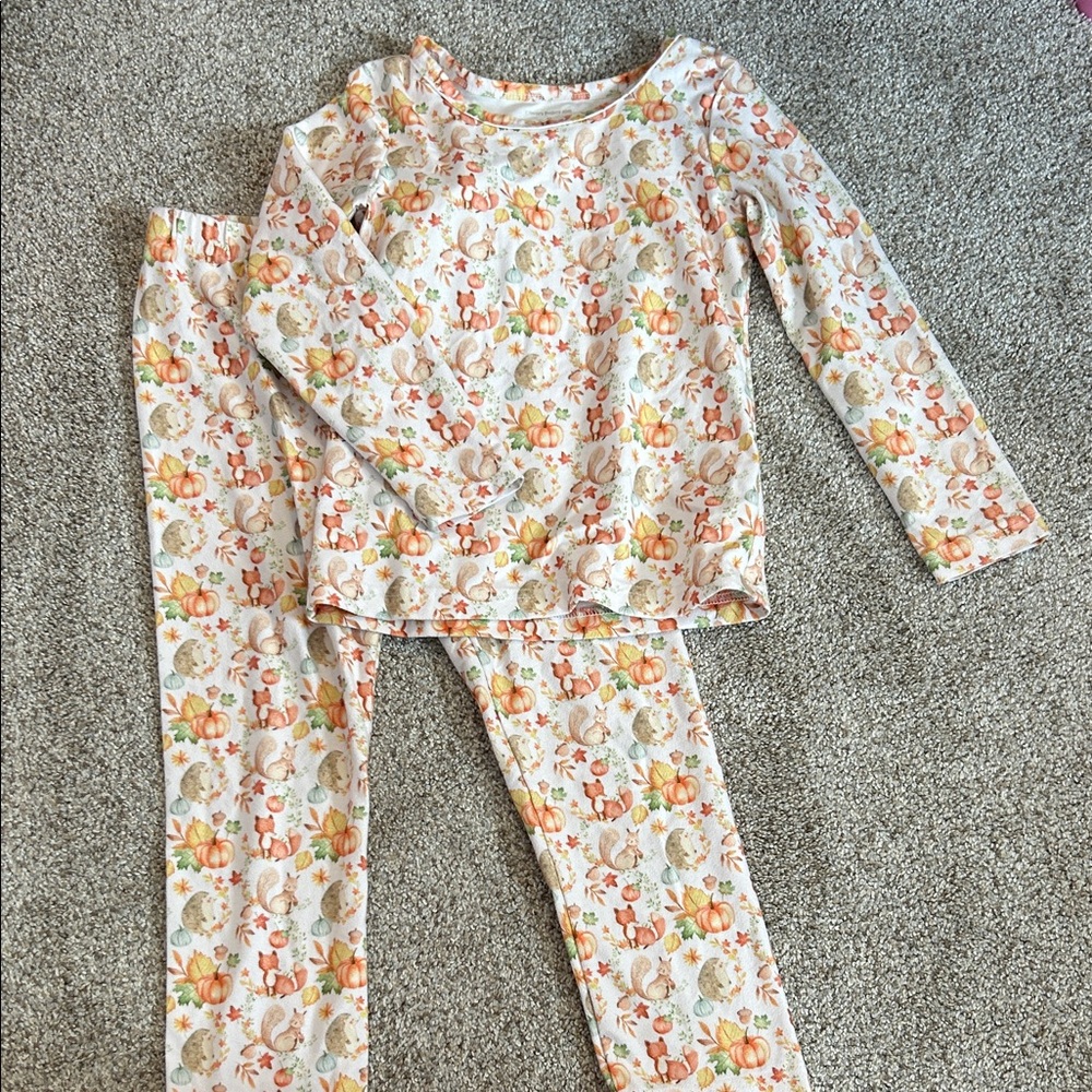 Charlie's Project Fall Pajama Set Size 4T